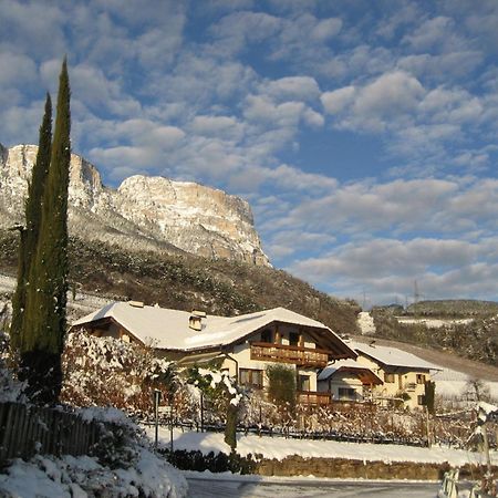 Gfillhof Ferienwohnung 3 Appiano Sulla Strada Del Vino Kültér fotó