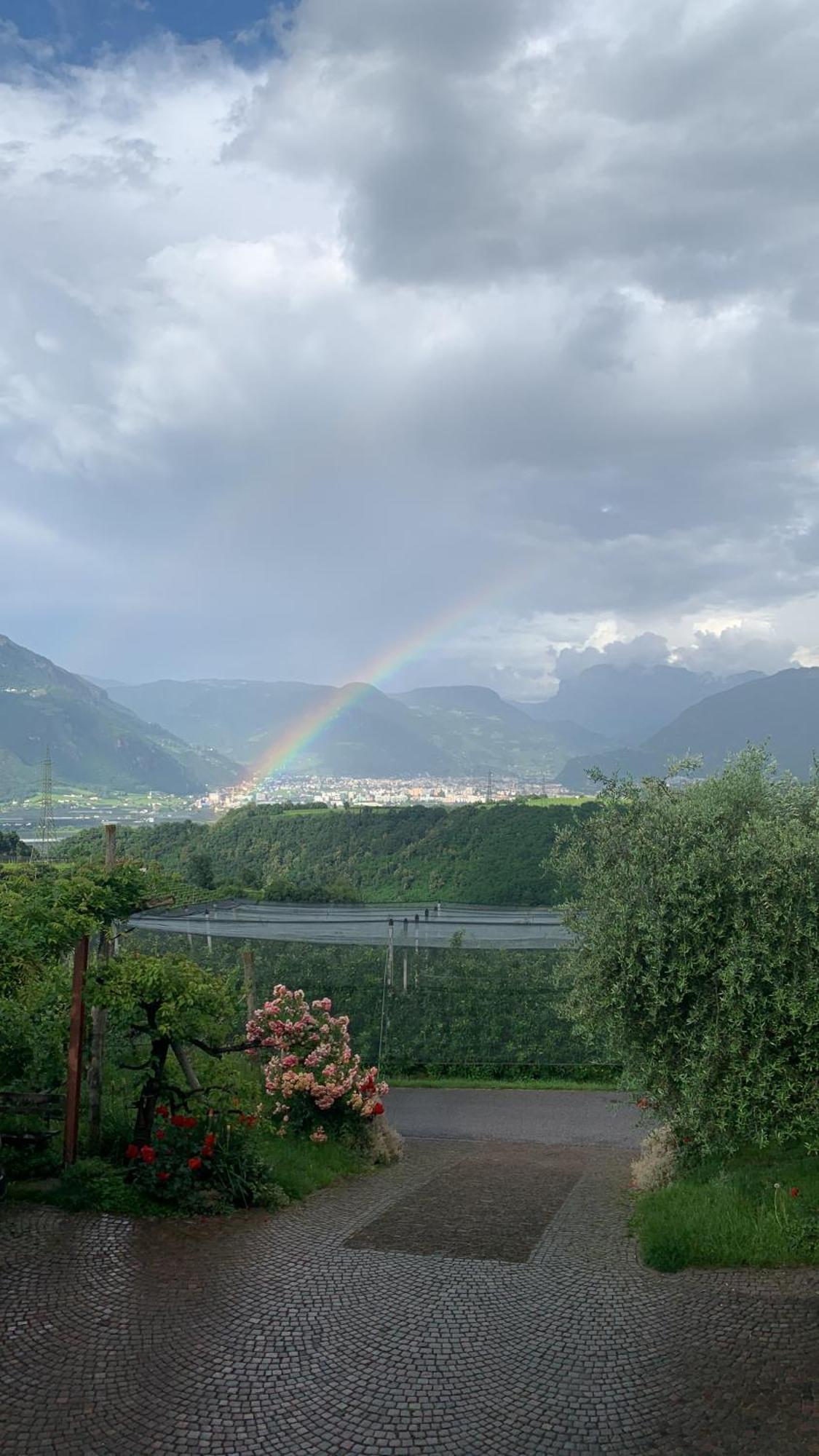 Gfillhof Ferienwohnung 3 Appiano Sulla Strada Del Vino Kültér fotó