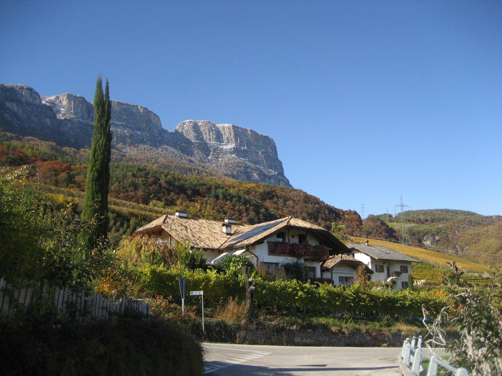 Gfillhof Ferienwohnung 3 Appiano Sulla Strada Del Vino Kültér fotó