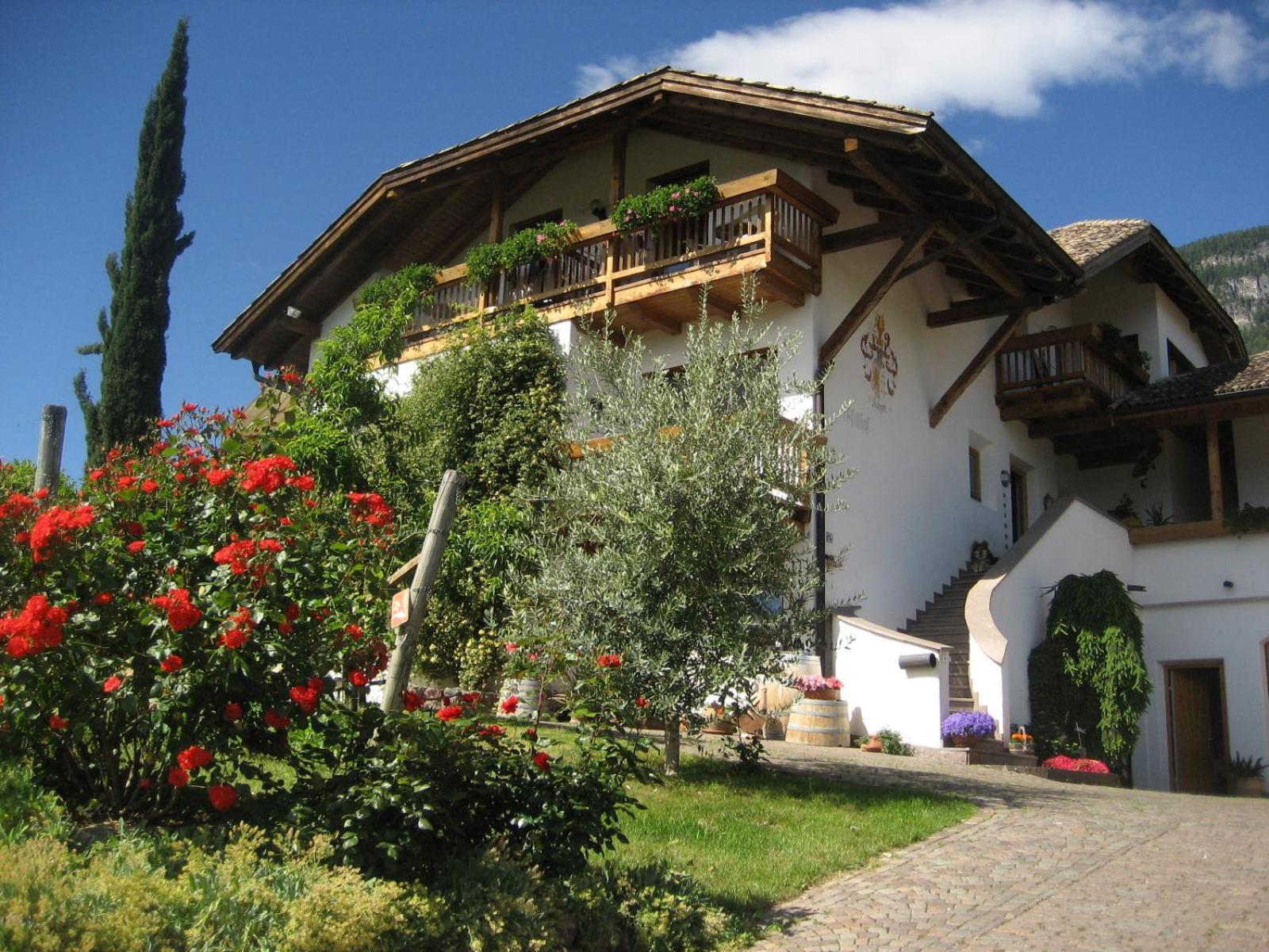 Gfillhof Ferienwohnung 3 Appiano Sulla Strada Del Vino Kültér fotó