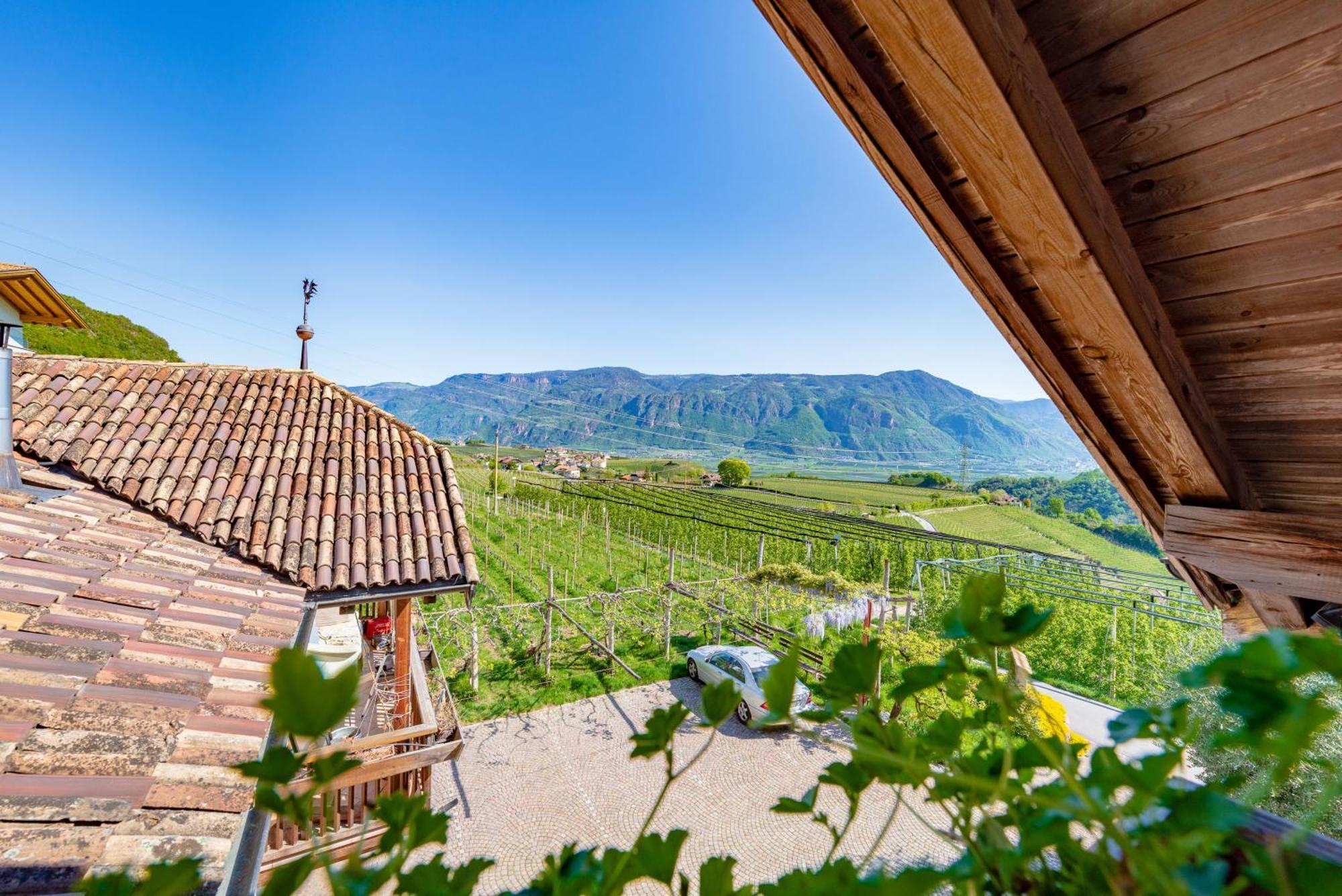 Gfillhof Ferienwohnung 3 Appiano Sulla Strada Del Vino Kültér fotó